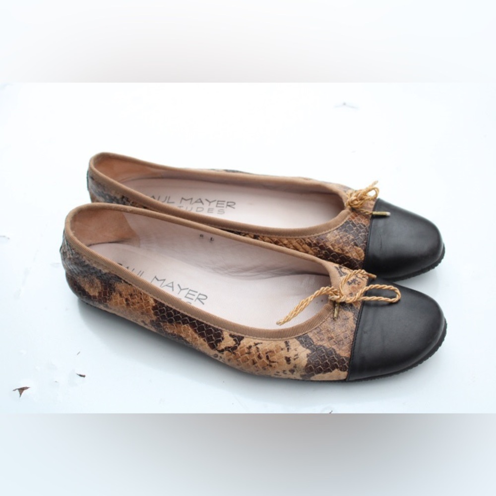 Paul Mayer Attitudes ballet flats